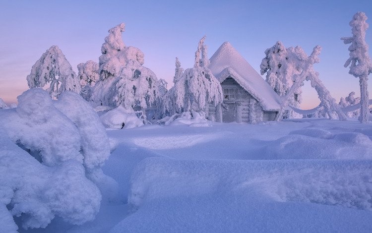 деревья, снег, зима, домик, сугробы, избушка, хижина, финляндия, лапландия, lapland, trees, snow, winter, house, the snow, hut, finland