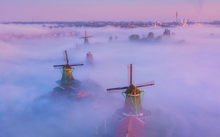 туман, нидерланды, ветряная мельница, fog, netherlands, windmill