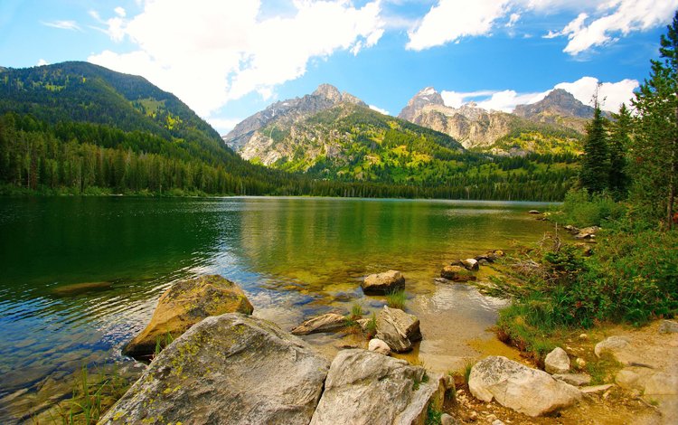 озеро, горы, лес, lake, mountains, forest