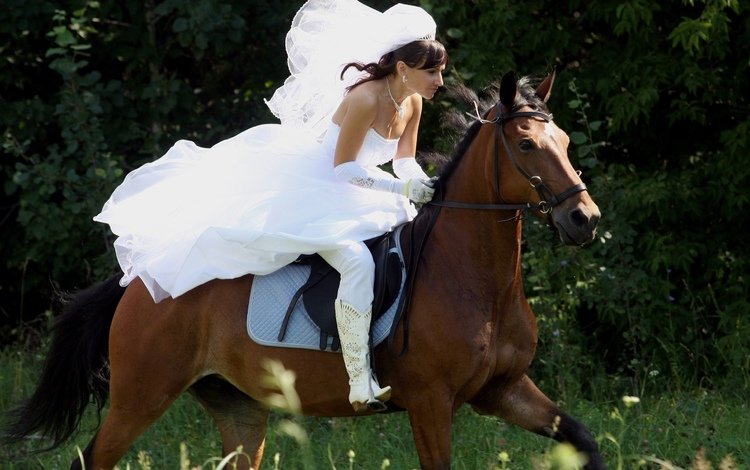 лошадь, девушка, платье, скачет, фата, бежит, езда, horse, girl, dress, jump, veil, runs, riding
