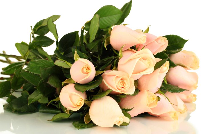 цветы, бутоны, розы, букет, розовый, flowers, buds, roses, bouquet, pink