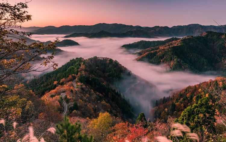 японии, утренний туман, shiga prefecture, лесистые холмы, japan, morning mist, wooded hills