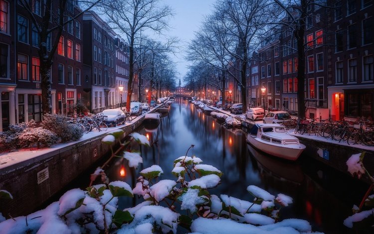 свет, огни, снег, зима, утро, канал, амстердам, light, lights, snow, winter, morning, channel, amsterdam