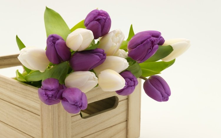 весна, букет, тюльпаны, деревянный, ящик, spring, bouquet, tulips, wooden, box