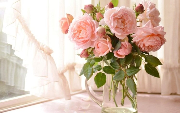 цветы, розы, окно, ваза, штора, flowers, roses, window, vase, blind