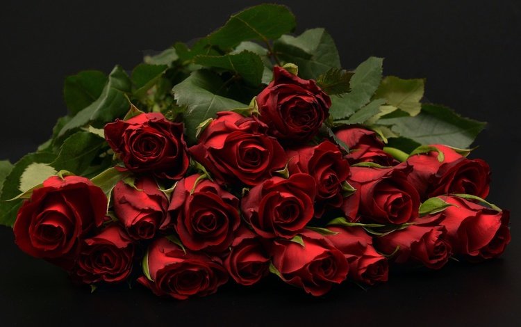 бутоны, фон, букет, темный, красные розы, buds, background, bouquet, dark, red roses