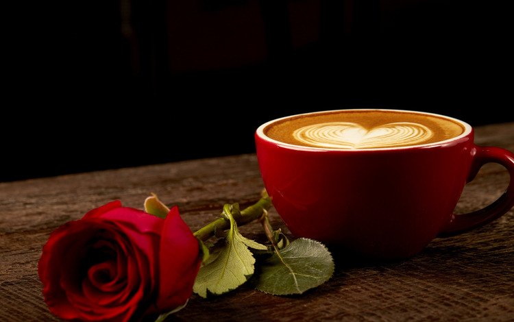 розы, красная роза, роза, дерева, кофе, влюбленная, сердце, бутон, чашка, романтик, краcный, roses, red rose, rose, wood, coffee, love, heart, bud, cup, romantic, red