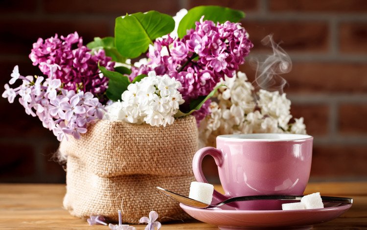 кофе, букет, чашка, сирень, coffee, bouquet, cup, lilac