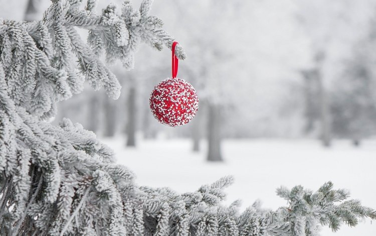 снег, зима, иней, игрушка, шарик, праздник, snow, winter, frost, toy, ball, holiday