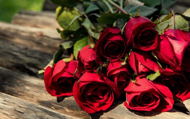 розы, красные, букет, романтик, дерева, roses, red, bouquet, romantic, wood