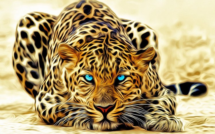 лежит, леопард, голубые глаза, окрас, lies, leopard, blue eyes, color