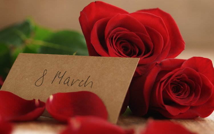 лепестки, букет, подарок, романтик, 8 марта, краcный, роз, красные розы, petals, bouquet, gift, romantic, march 8, red, roses, red roses