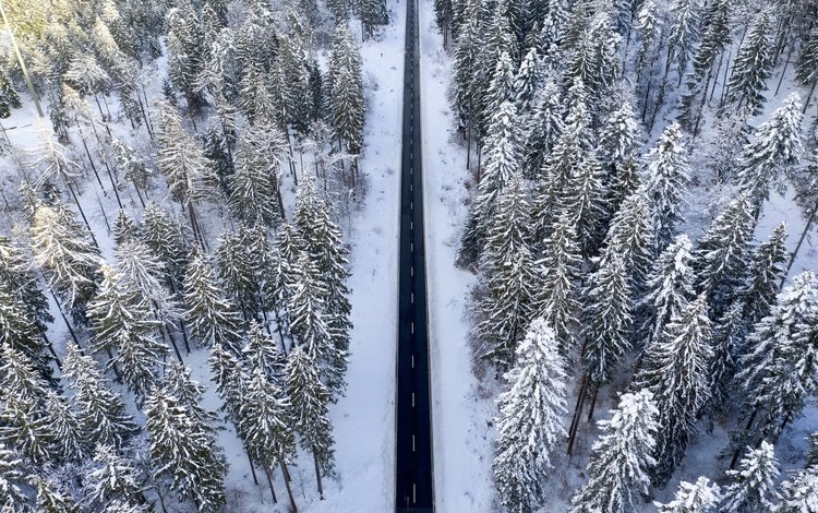 дорога, лес, зима, вид сверху, road, forest, winter, the view from the top