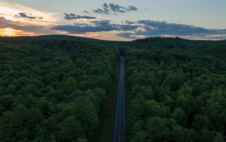 дорога, лес, закат, горизонт, вид сверху, road, forest, sunset, horizon, the view from the top