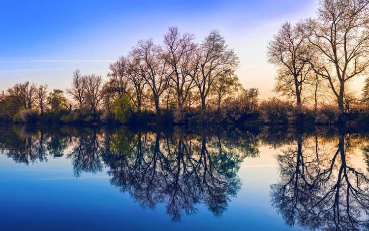 небо, деревья, озеро, природа, отражение, the sky, trees, lake, nature, reflection
