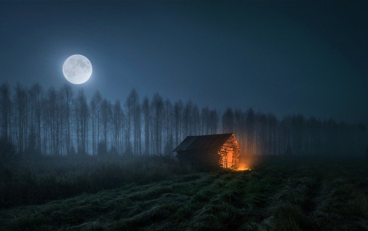 ночь, деревья, луна, огонь, дом, night, trees, the moon, fire, house
