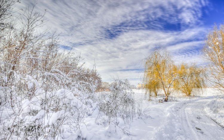 дорога, деревья, снег, зима, пейзаж, road, trees, snow, winter, landscape