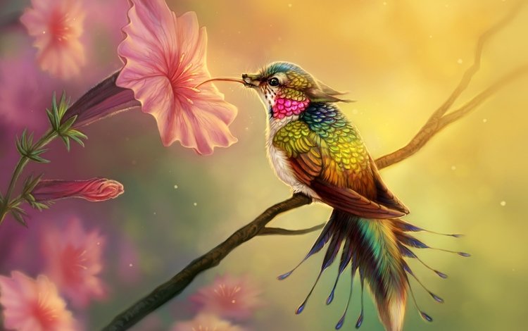 цветы, арт, птица, клюв, перья, колибри, цифровое искусство, flowers, art, bird, beak, feathers, hummingbird, digital art
