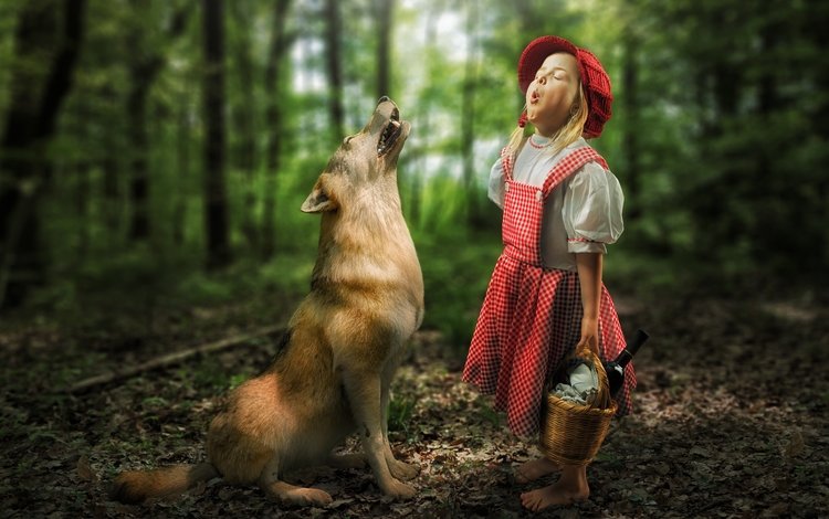 лес, ситуация, девочка, волк, встреча, красная шапочка, forest, the situation, girl, wolf, meeting, little red riding hood