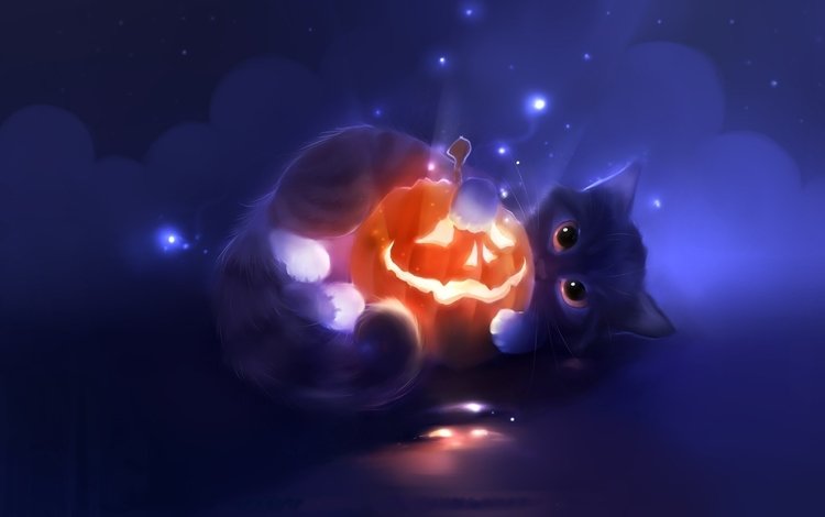 арт, кот, мордочка, кошка, котенок, хеллоуин, тыква, art, cat, muzzle, kitty, halloween, pumpkin