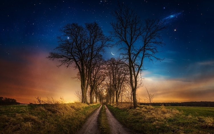 дорога, трава, ночь, деревья, звезды, луна, road, grass, night, trees, stars, the moon