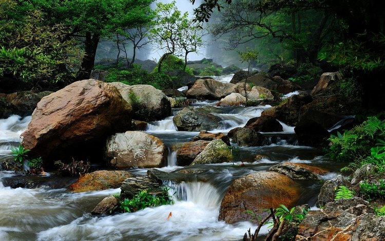 деревья, река, природа, камни, лес, пейзаж, таиланд, течение, trees, river, nature, stones, forest, landscape, thailand, for