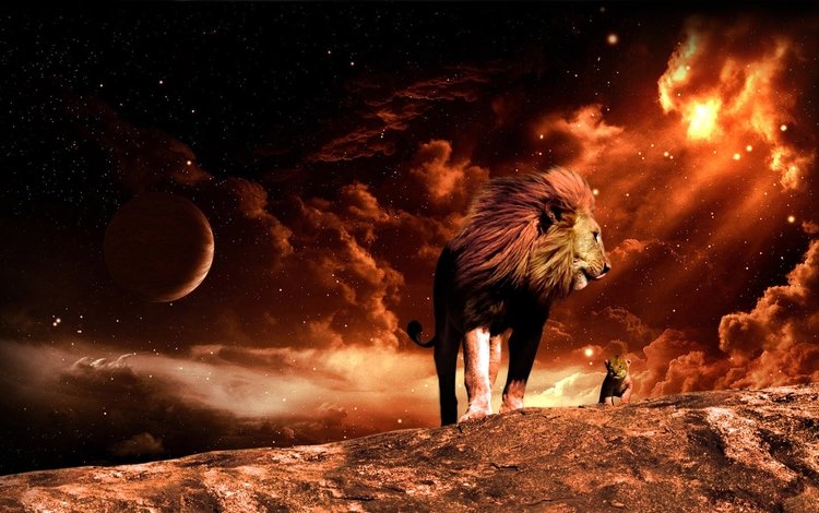 космос, огонь, лев, львёнок, space, fire, leo, lion