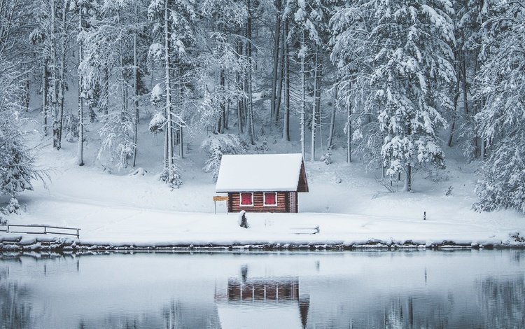 деревья, дом, озеро, снег, природа, лес, зима, отражение, лёд, trees, house, lake, snow, nature, forest, winter, reflection, ice