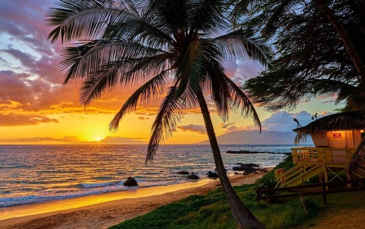 небо, океан, облака, пальма, природа, отдых, гавайи, закат, пейзаж, море, горизонт, лето, the sky, the ocean, clouds, palma, stay, nature, hawaii, sunset, landscape, sea, horizon, summer