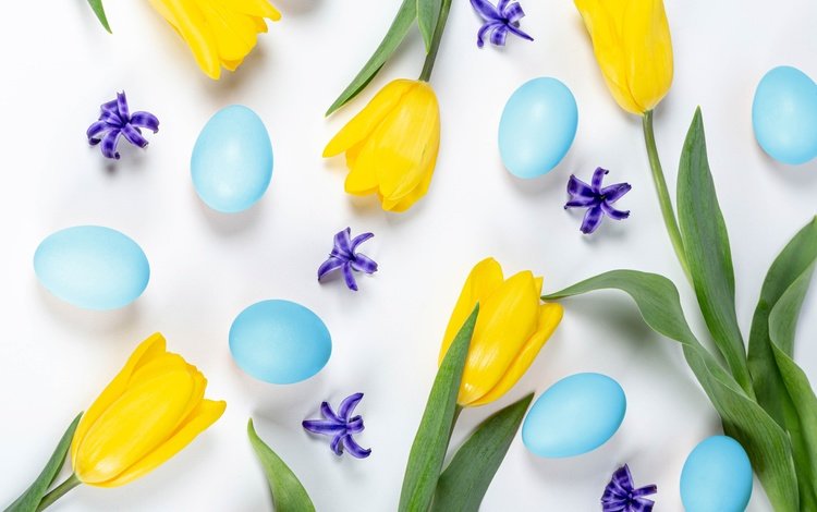 тюльпаны, белый фон, пасха, яйца, желтые, tulips, white background, easter, eggs, yellow