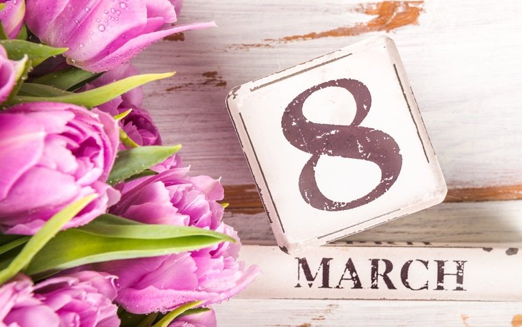 тюльпаны, розовые, 8 марта, tulips, pink, march 8