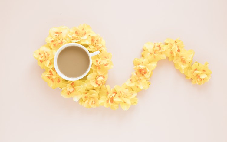 цветы, фон, кофе, чашка, желтые, орхидеи, композиция, flowers, background, coffee, cup, yellow, orchids, composition