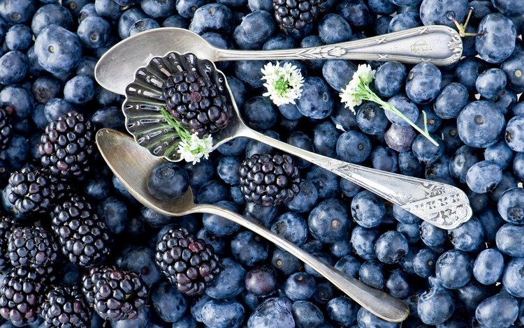 черника, ежевика, blueberries, blackberry