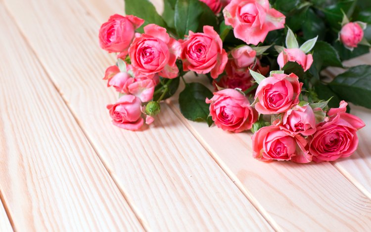 розы, букет, розовые, roses, bouquet, pink