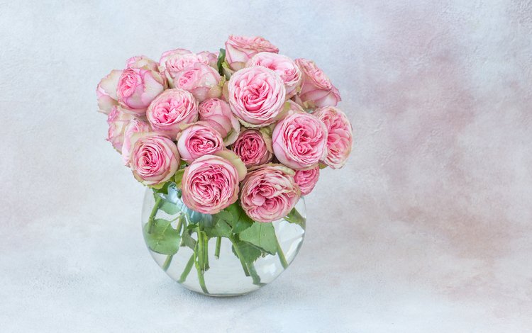 розы, букет, розовые, ваза, julija vilvarin, roses, bouquet, pink, vase
