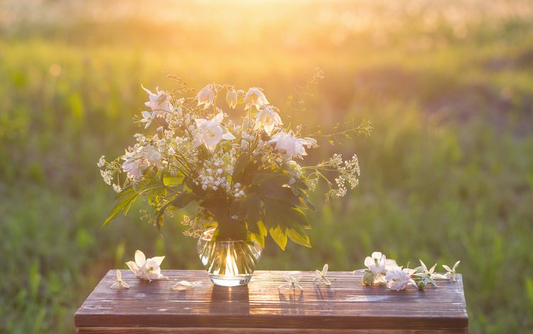 цветы, природа, фон, стол, букет, ваза, flowers, nature, background, table, bouquet, vase