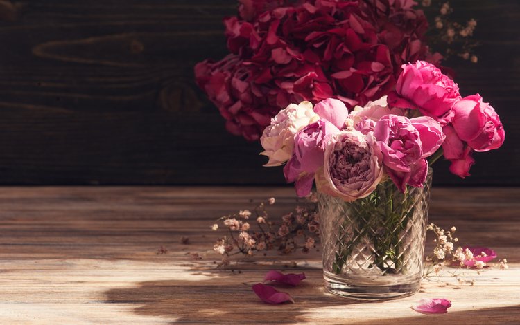 цветы, розы, красные, ваза, гортензия, irina bort, flowers, roses, red, vase, hydrangea