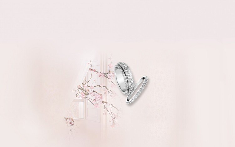 розовый, нежность, кольца, свадьба, pink, tenderness, ring, wedding