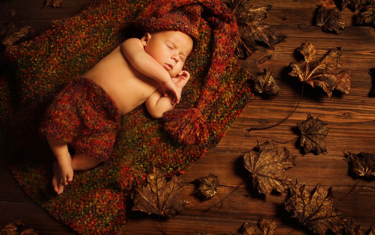 листья, листва, сон, дети, ребенок, спящий, младенец грудной ребёнок, leaves, foliage, sleep, children, child