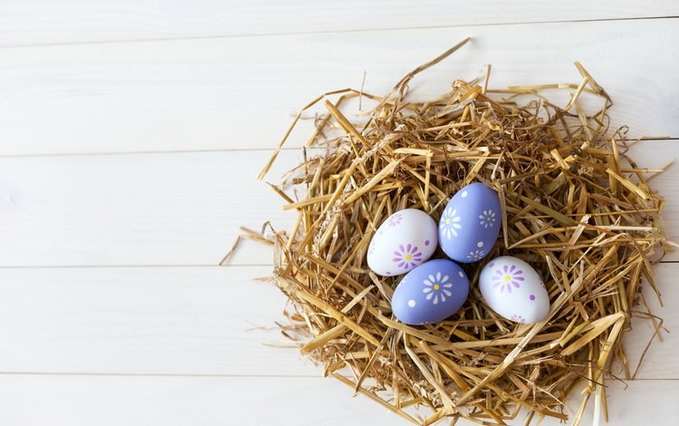 пасха, солома, гнездо, яйца крашеные, easter, straw, socket, the painted eggs
