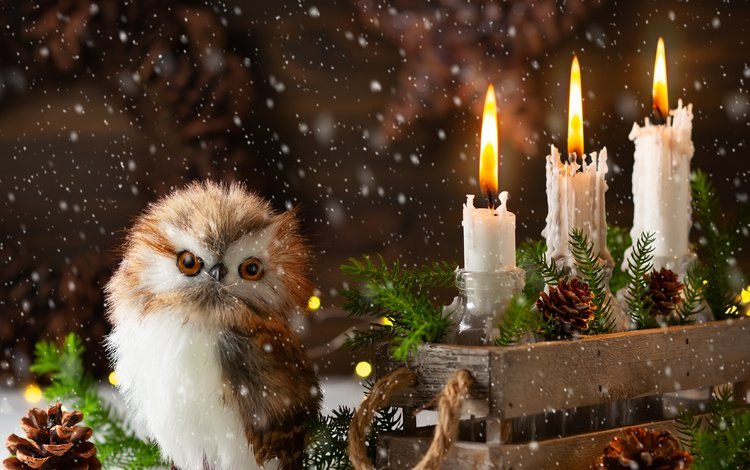 сова, птица, снег, праздник, свечи, рождество, новый год, шишки, елка, ящик, хвоя, совенок, ветки, композиция, игрушка, owl, bird, snow, holiday, candles, christmas, new year, bumps, tree, box, needles, owlet, branches, composition, toy