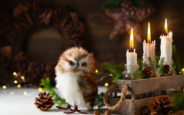 сова, птица, снег, праздник, свечи, рождество, шишки, новый год, ящик, елка, совенок, хвоя, композиция, ветки, игрушка, owl, bird, snow, holiday, christmas, candles, bumps, new year, box, tree, owlet, needles, composition, branches, toy