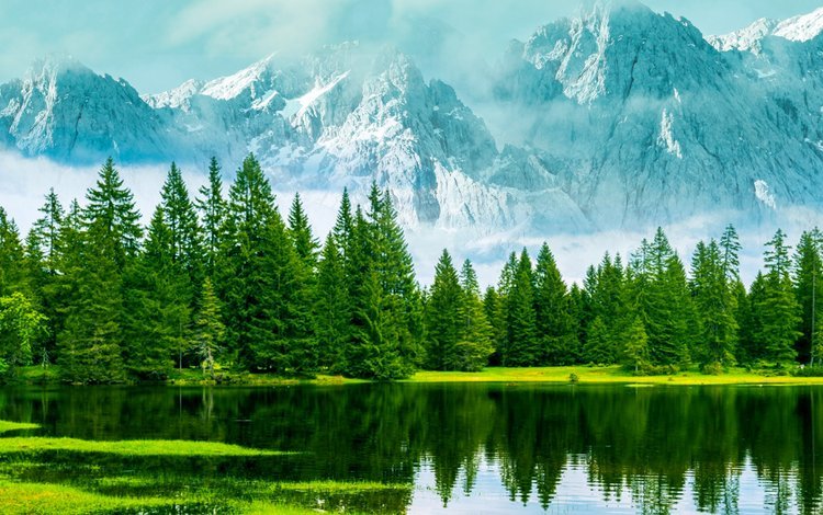 деревья, озеро, горы, природа, лес, туман, trees, lake, mountains, nature, forest, fog