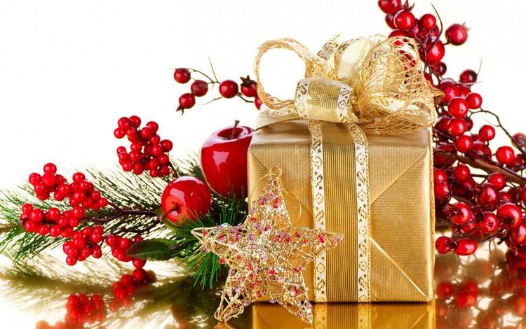 новый год, звезда, яблоко, подарок, праздник, рождество, бант, ветка ягод, new year, star, apple, gift, holiday, christmas, bow