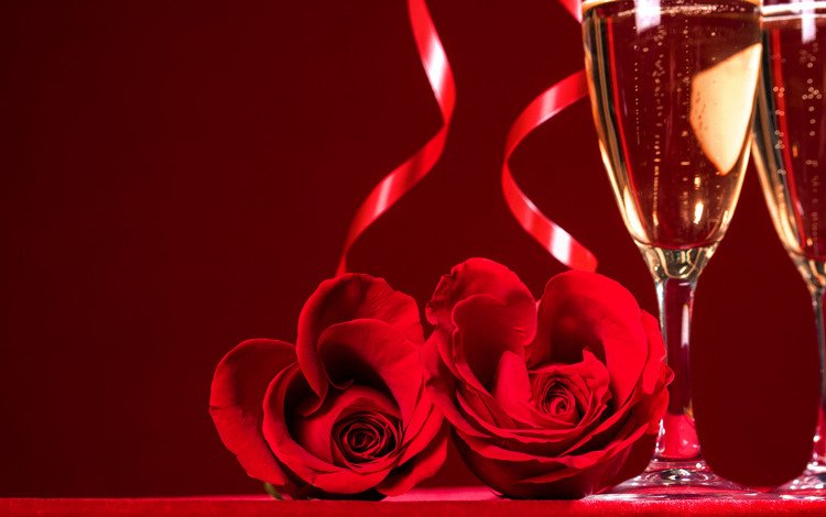 цветок, роза, бокалы, шампанское, день святого валентина, влюбленная, flower, rose, glasses, champagne, valentine's day, love