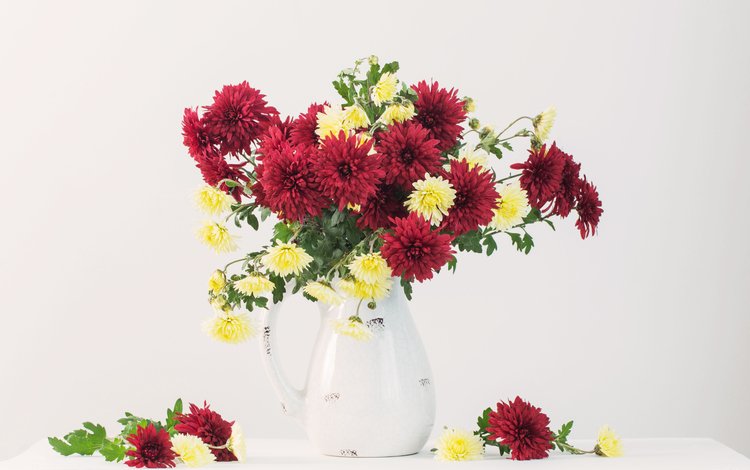 цветы, красные, букет, белый фон, ваза, желтые, хризантемы, натюрморт, flowers, red, bouquet, white background, vase, yellow, chrysanthemum, still life