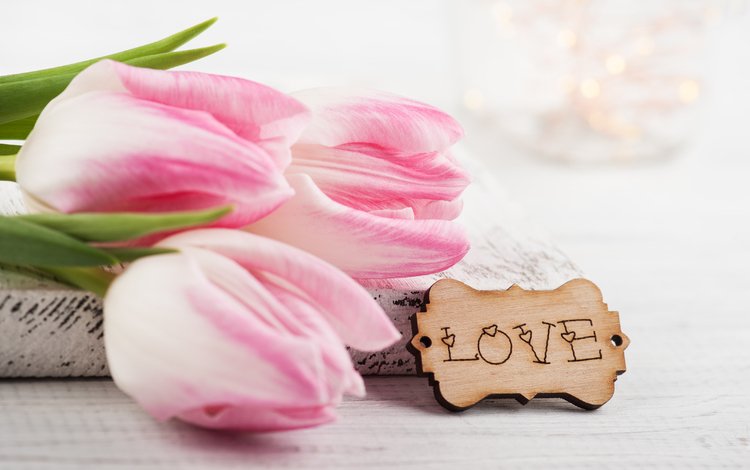 цветы, надпись, любовь, тюльпаны, розовые, irina bort, flowers, the inscription, love, tulips, pink