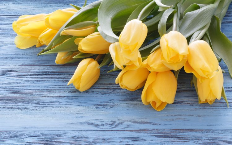 стол, ткань, букет, тюльпаны, желтые, голубая, деревянная поверхность, table, fabric, bouquet, tulips, yellow, blue, wooden surface