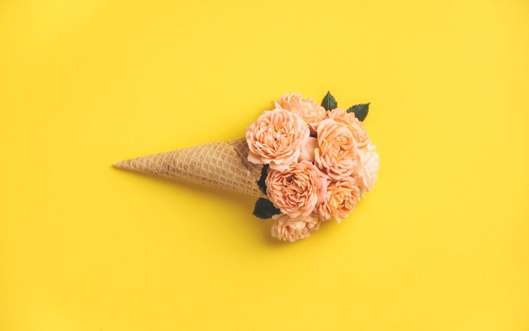 фон, розы, желтые, вафельный рожок, background, roses, yellow, waffle cone
