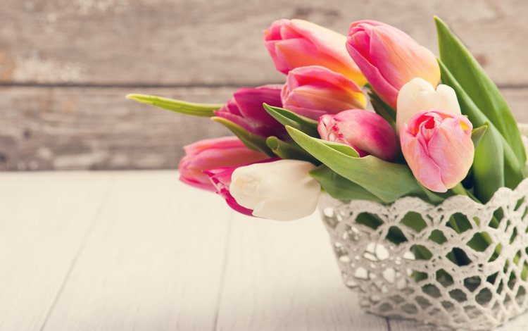 букет, тюльпаны, корзинка, irina bort, bouquet, tulips, basket